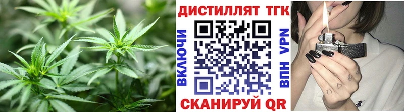 Купить где  Богородск  ТГК Wax 